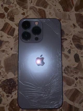 iPhone 13 Pro Gris