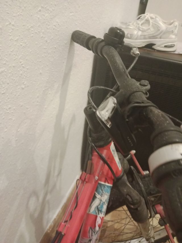 Bicicleta infantil roja