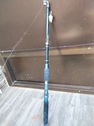 Caña de pescar 2.0m