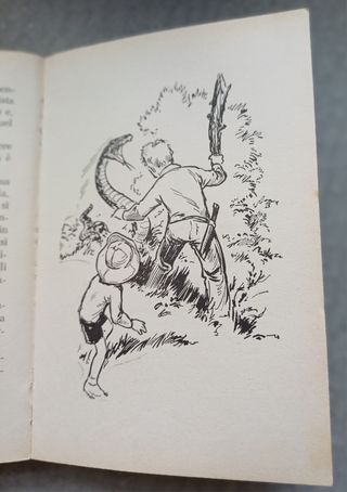 L'isola senza nome di Remo Fusilli.