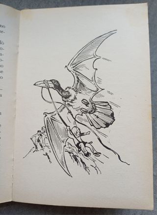 L'isola senza nome di Remo Fusilli.