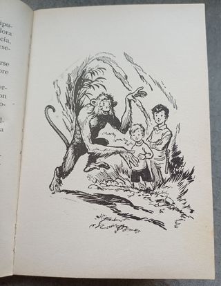 L'isola senza nome di Remo Fusilli.