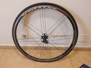 Rueda de carretera Campagnolo Vento