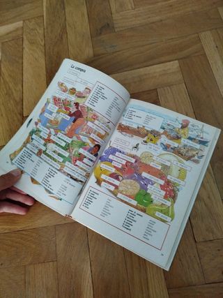 Diccionario francés para principiantes 