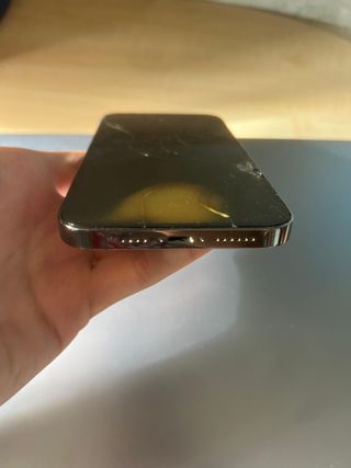 iPhone 13 pro max per recupero pezzi