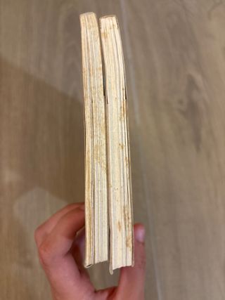 Lote dos libros Geronimo Stilton