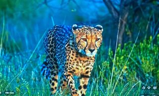 Proyector BenQ SVGA Blanco