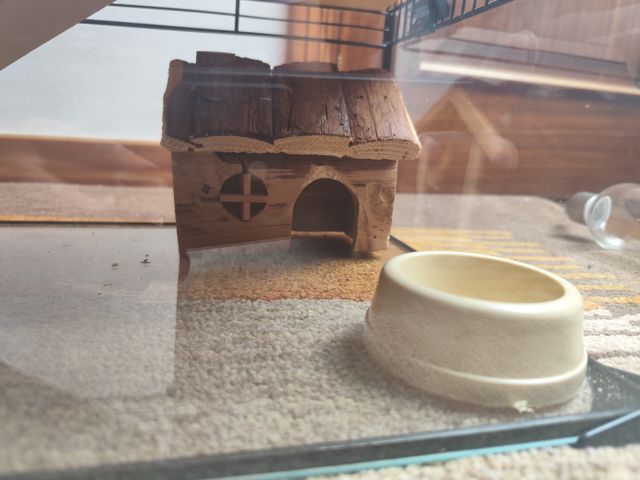 Jaula Hamster Cristal y Accesorios