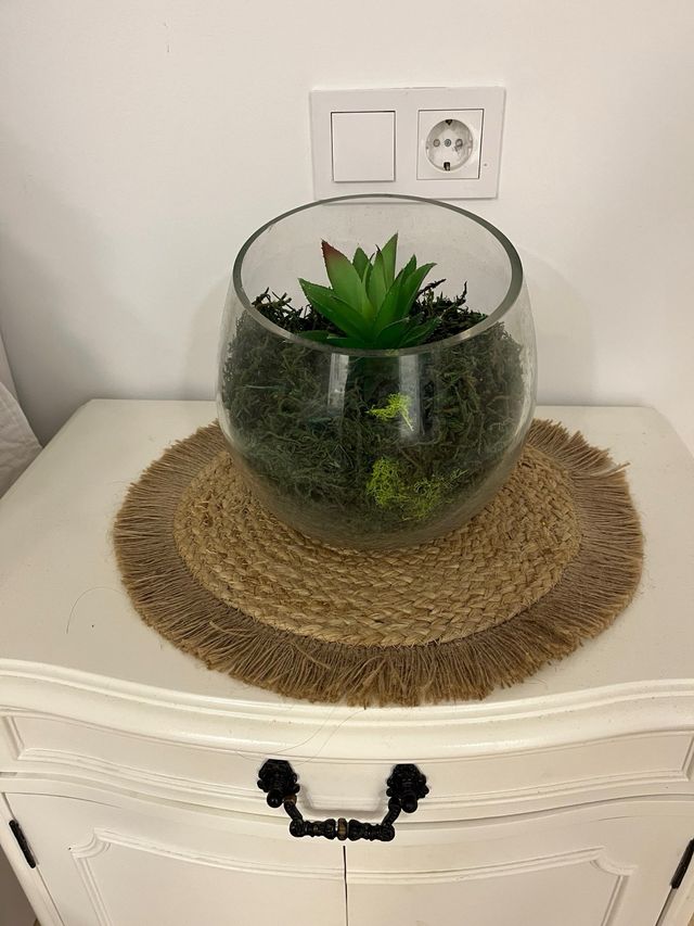 Jarrón decorativo cristal con musgo