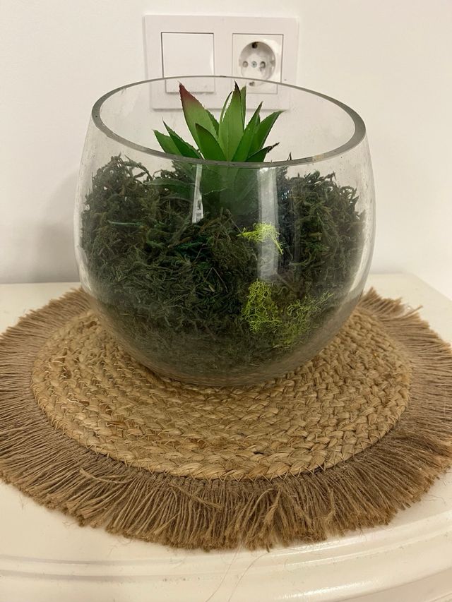 Jarrón decorativo cristal con musgo