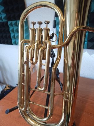 Eufonio di Giove. Servizio appena fatto.