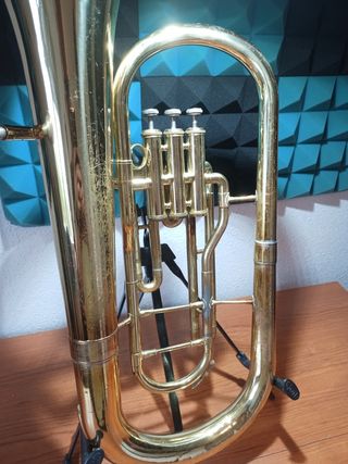 Eufonio di Giove. Servizio appena fatto.