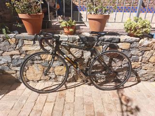 Bicicleta de carretera fibra de carbono Greenwich