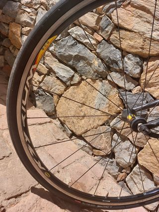 Bicicleta de carretera fibra de carbono Greenwich