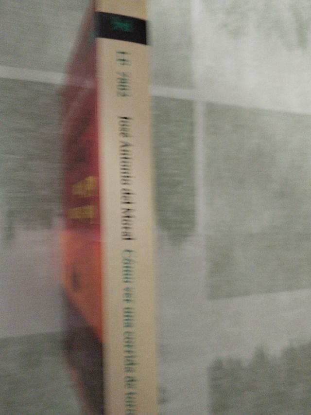 Cómo ver una corrida de toros