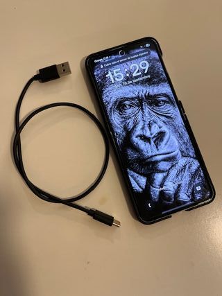 Samsung Galaxy Z Flip5 256GB Blu