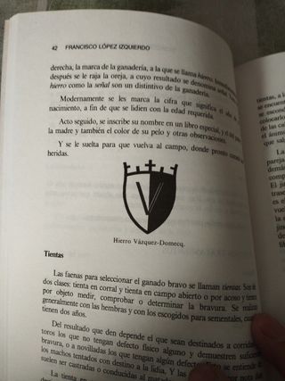 Iniciación al espectáculo nacional