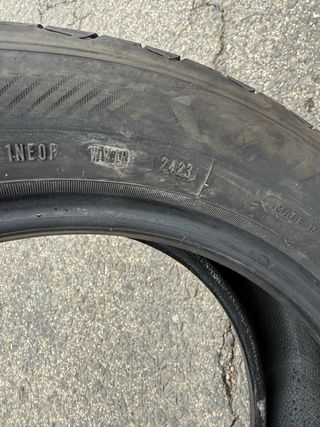 Neumáticos 205/55/16 91V Goodyear