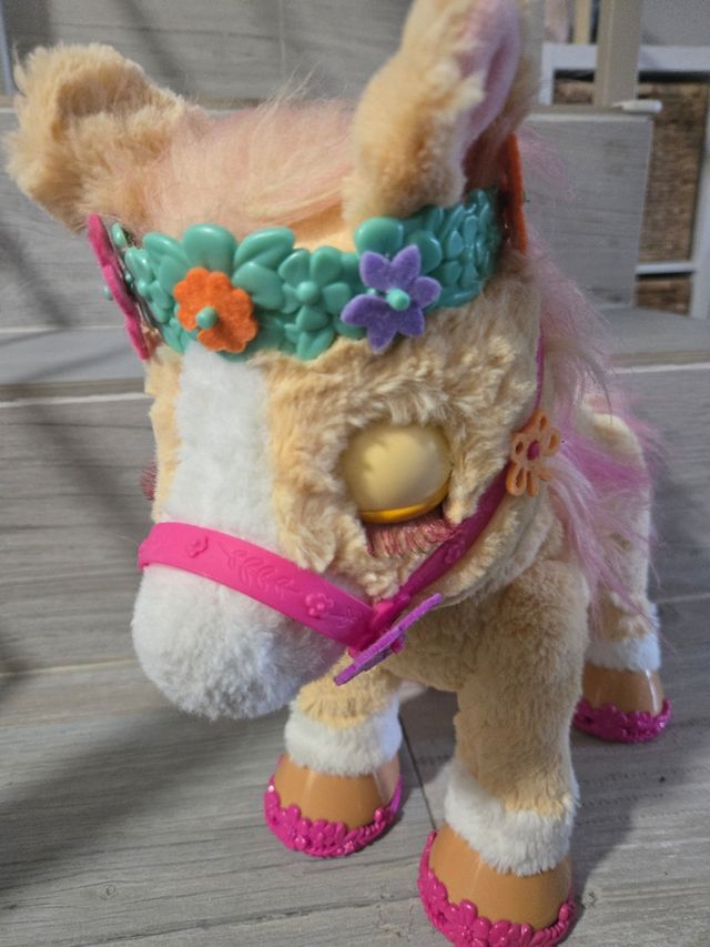 My Cinnamon Pony con accessori