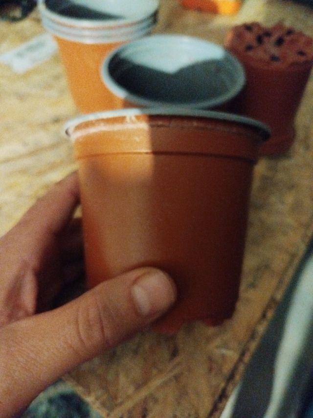 Macetas de plástico 9 cm (marrón/gris)