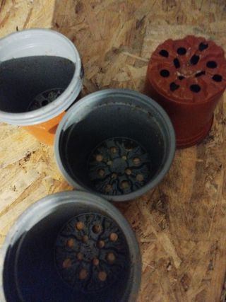 Macetas de plástico 9 cm (marrón/gris)