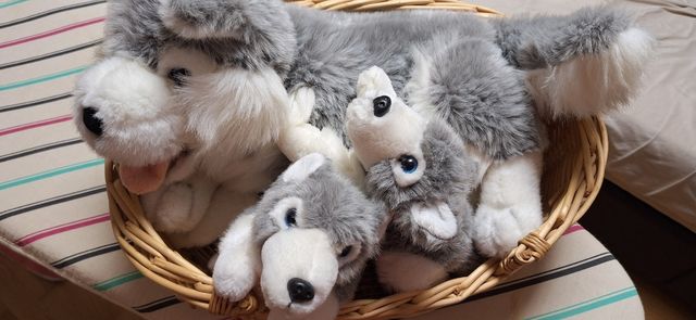 Cesta con 3 peluches de Husky