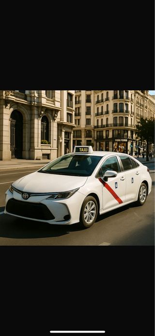 Licencia Taxi Lunes Impar