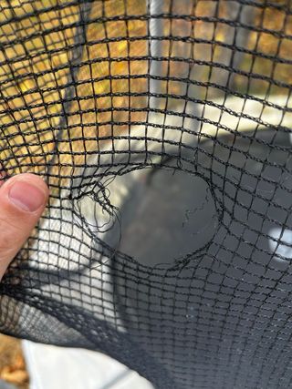 Cama elástica Decathlon con red de seguridad