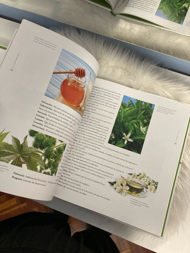 Libro Salud y Bienestar Remedios Naturales