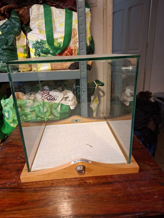 Vitrina cristal base madera