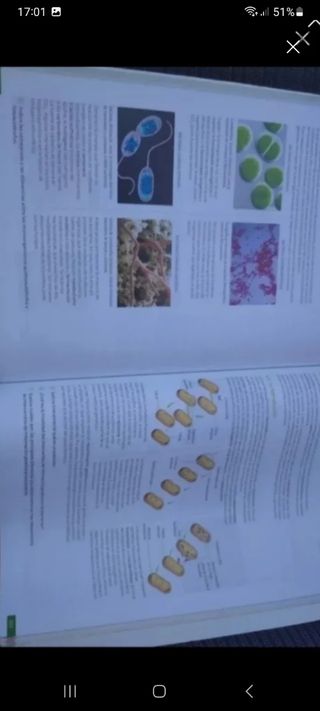 Libro de Biología geología y Ciencias Ambientales