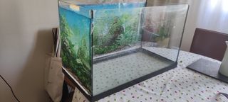 Acuario 60 Litros
