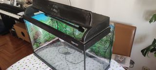 Acuario 60 Litros