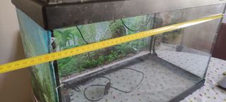 Acuario 60 Litros
