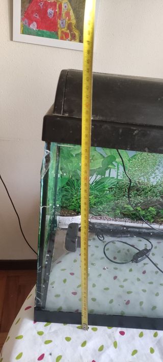 Acuario 60 Litros