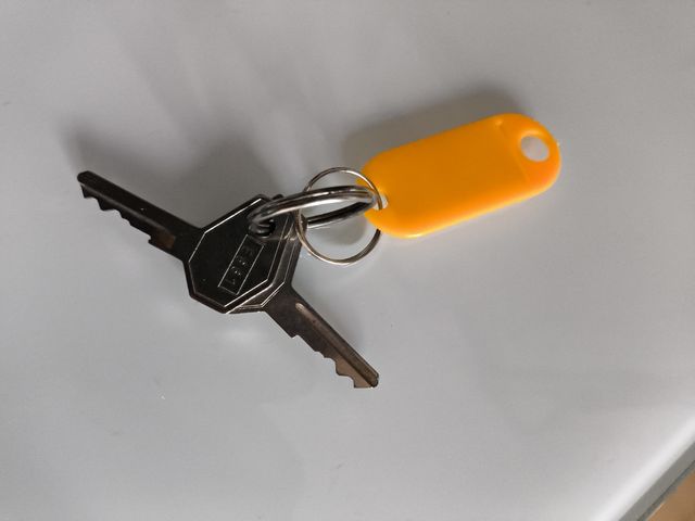 Portaesquís para coche. 