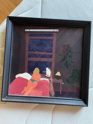 Illustrazione gatto con cornice