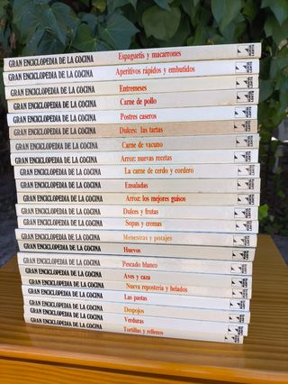 Lote 22Libros sobre La gran enciclopedia de cocina