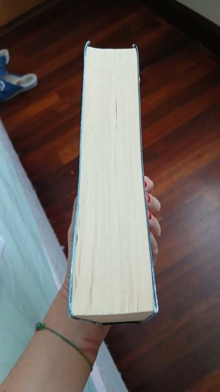 La rebelión de los buenos: Premio de Novela Fer...