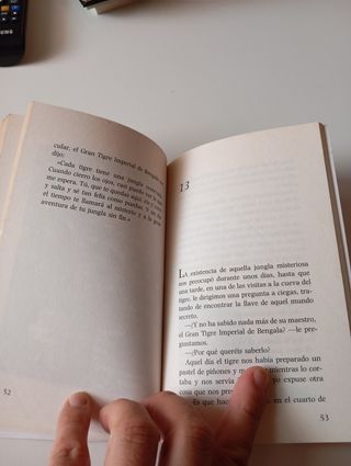 Cada tigre en su jungla. El barco de vapor