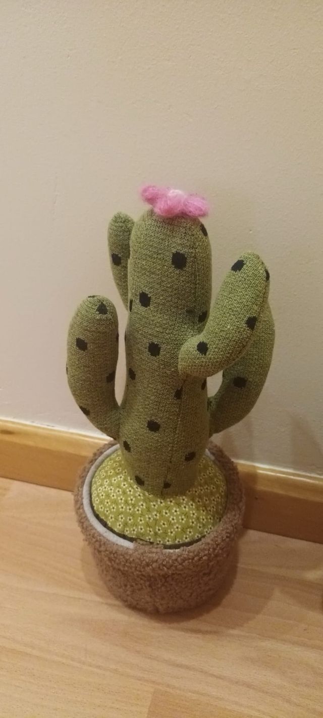 Cactus sujetapuertas decorativos