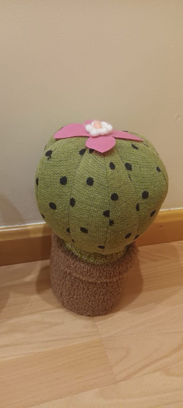 Cactus sujetapuertas decorativos