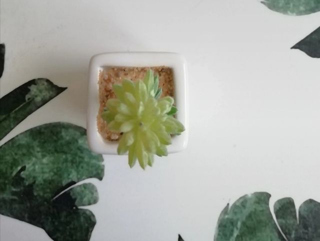 Piantina artificiale con vaso bianco