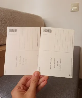 Lote Pokémon Vintage