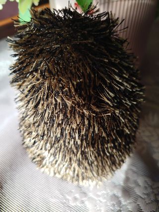 Soprammobile riccio con mela