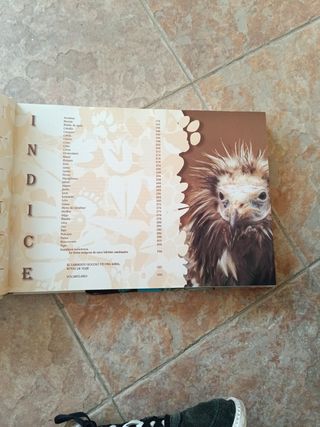 El Origen de Una Naturaleza--Cabarceno