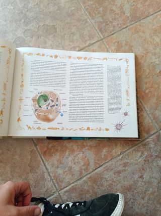 El Origen de Una Naturaleza--Cabarceno