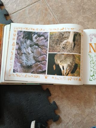 El Origen de Una Naturaleza--Cabarceno