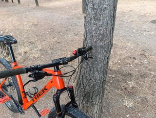 MTB Trek procaliber carbono 29 pulgadas btt bici 