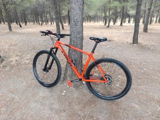 MTB Trek procaliber carbono 29 pulgadas btt bici 